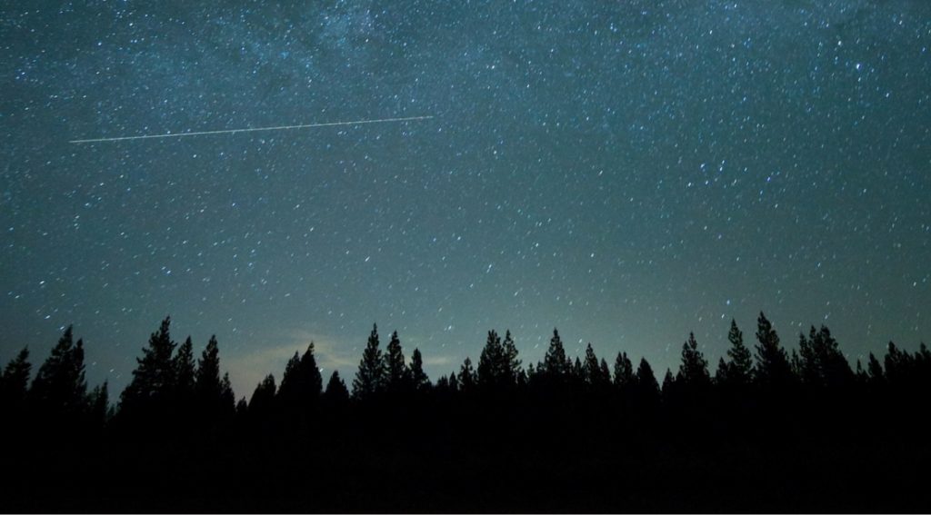 An illustration of a landscape during night