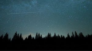 An illustration of a landscape during night