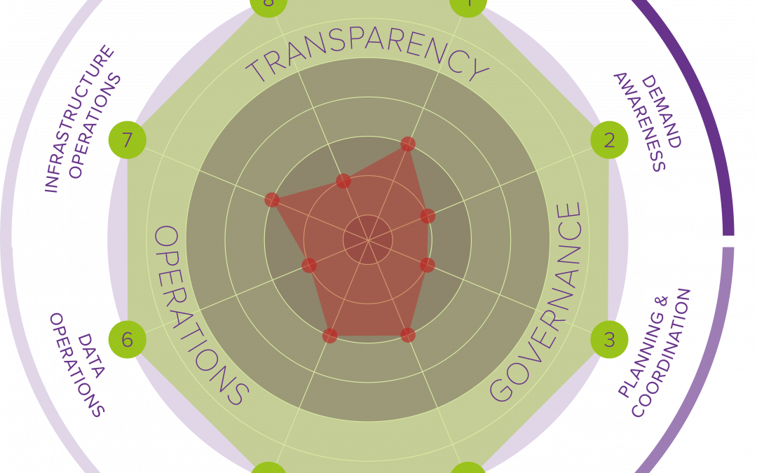 Test Environment Management Maturity Index – TEMMi