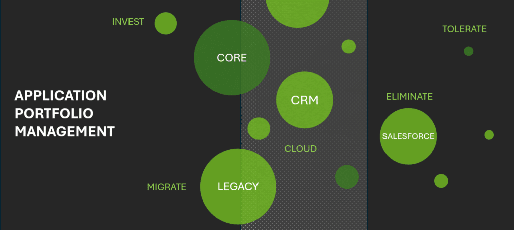 application portfolio management
