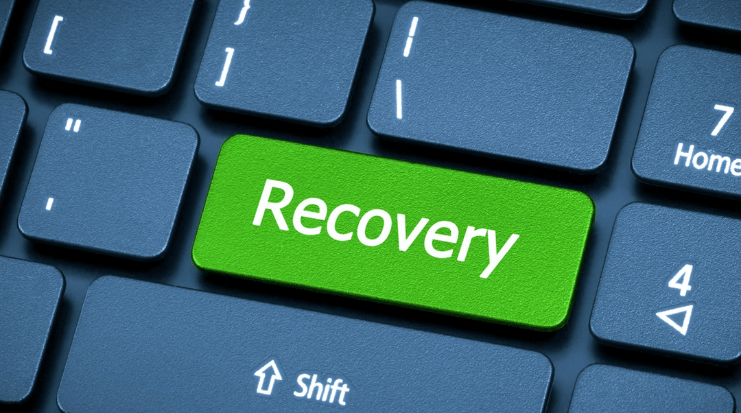 Harnessing the Synergies of DR and TEM for a Resilient and Efficient Organization