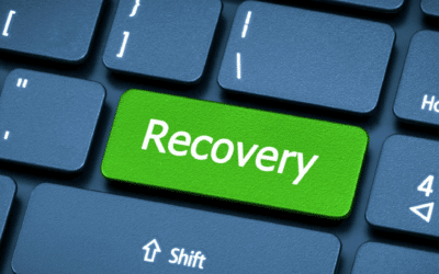Harnessing the Synergies of DR and TEM for a Resilient and Efficient Organization