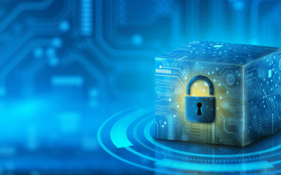 The Perfect TDM Balance : Fake & Masked Real Data