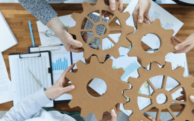 Steering Committees in Depth: Understanding their Role