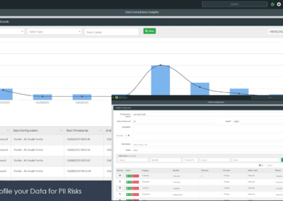 Data Risk Profiling