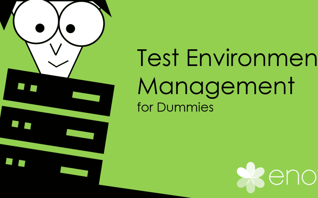 Test Environment Management for Dummies