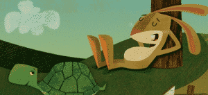 Tortoise-Hair-Release-Management-Bimodal