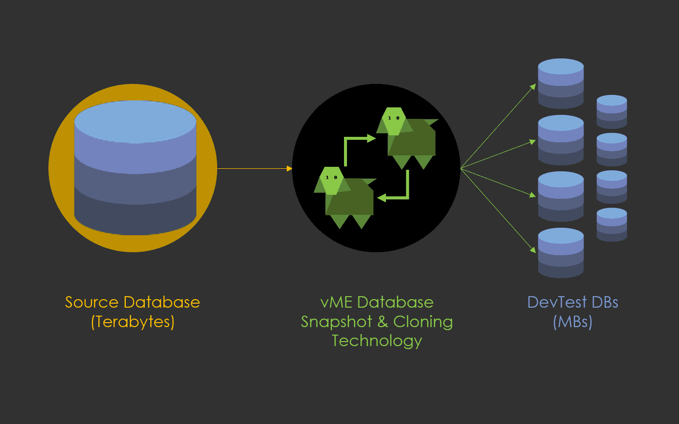 Data Cloning Overview