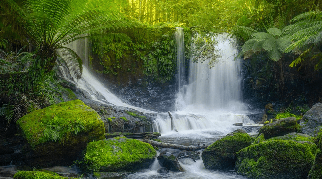 How to Value Stream DevOps With Test Environment Management