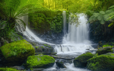 Pairing DevOps with Test Environment Management